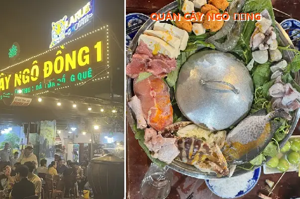 NGÔ ĐỒNG TREE CAFE