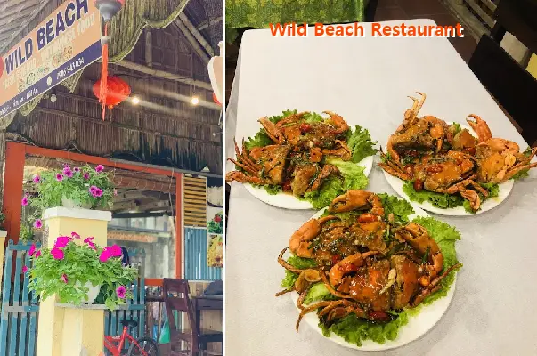 Wild Beach Restaurant
