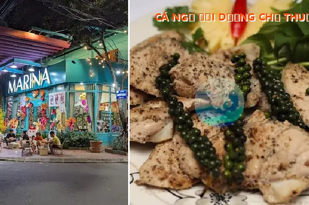 OCEAN TUNA BY MS. THUAN, QUY NHON