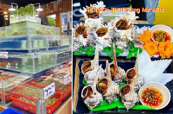 Mr. Moc s Fresh Seafood