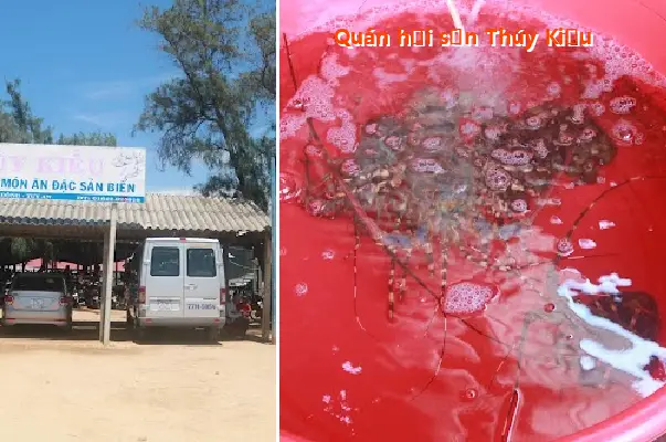 Thuy Kieu Seafood Restaurant