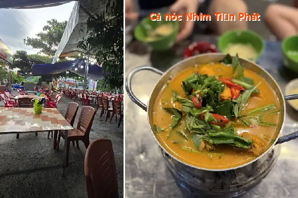 Tien Phat Hedgehog Pufferfish