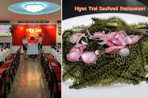 Ngoc Trai Seafood Restaurant - Since 2004