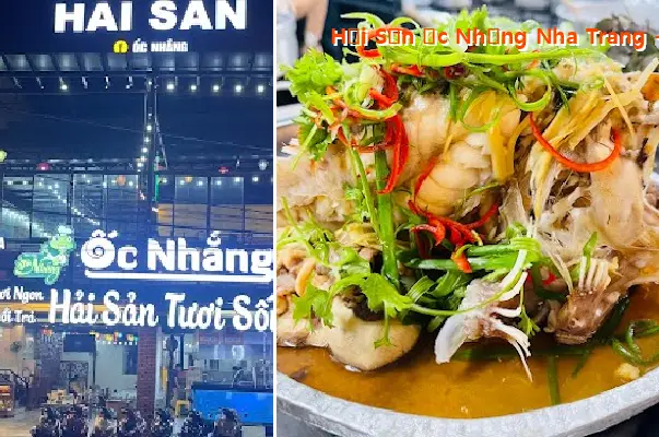 Top 9 Nhà Hàng, Quán ăn nổi tiếng tại Xã Đại Lãnh, Khánh Hòa (Phần 2)