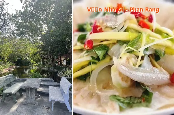 Whose Garden Is This? - Phan Rang