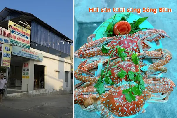 Fresh Seafood from Song Bien