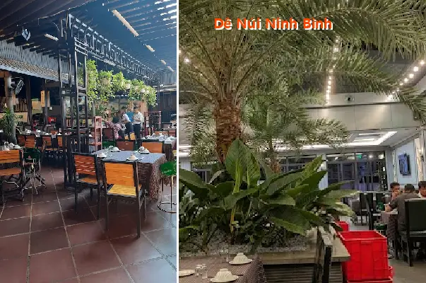 Ninh Binh Mountain Goat