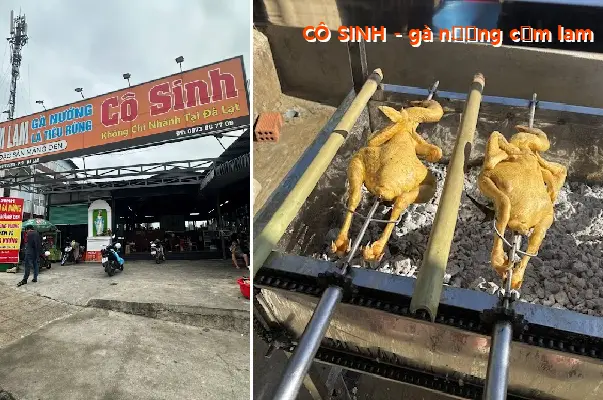 CO SINH - Grilled chicken with sticky rice