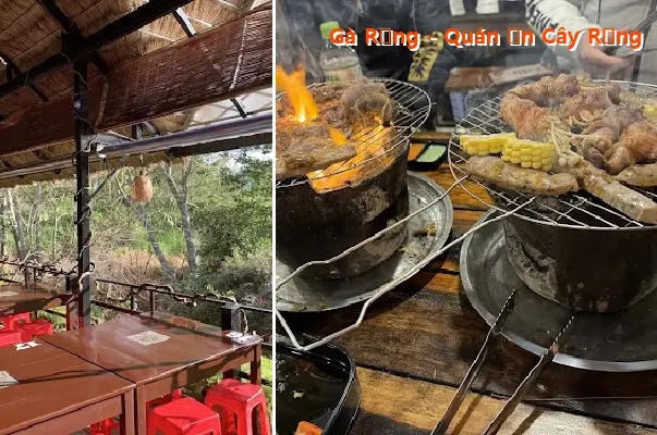 Wild Chicken - Forest Tree Restaurant