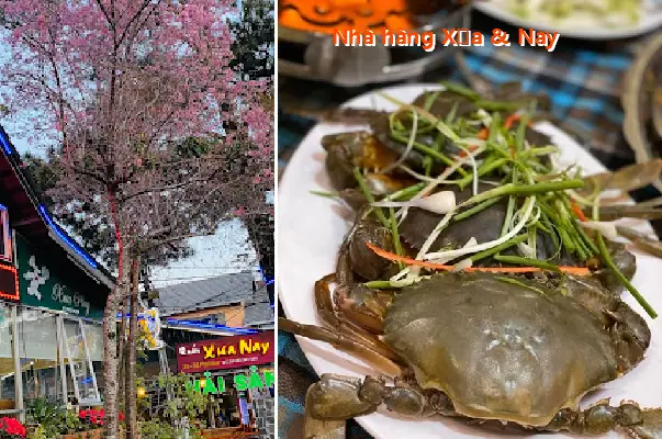 Traditional & Modern Restaurant