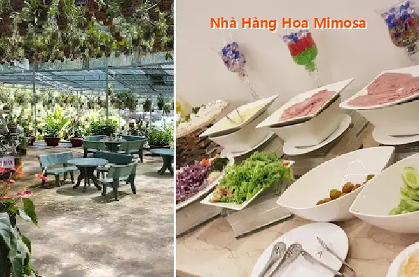 Mimosa Flower Restaurant