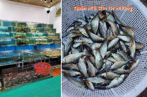 Seafood Restaurant with Snails