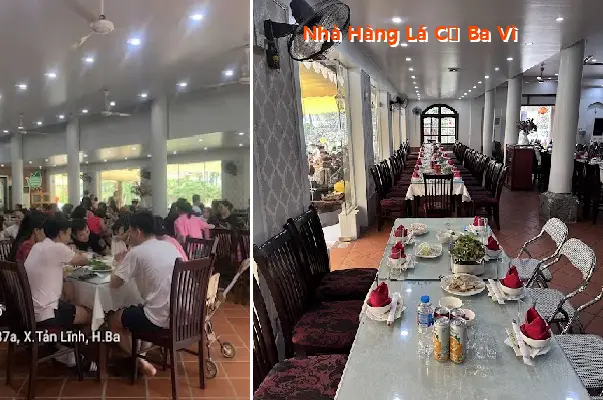 Ba Vi Palm Leaf Restaurant