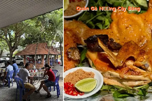 Grilled Chicken Restaurant