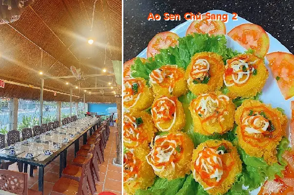 Uncle Sang s Lotus Pond 2