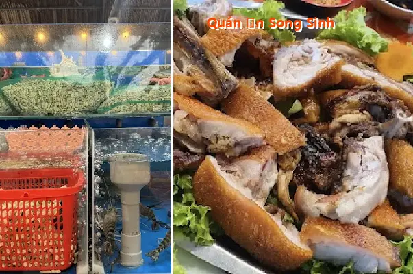 Song Sinh Restaurant