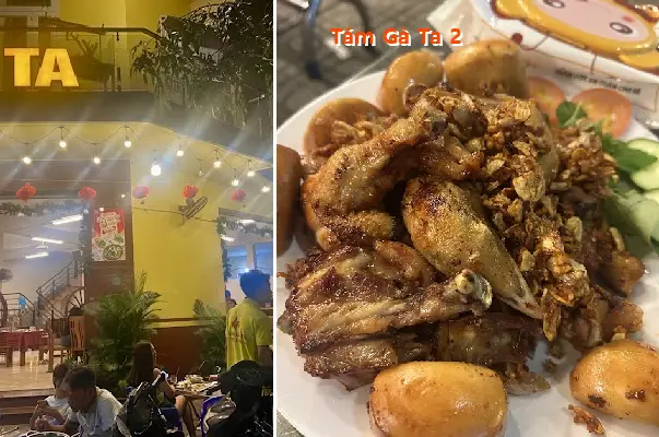 Eight Free-Range Chickens 2