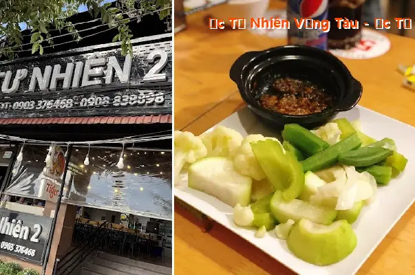 Vung Tau Natural Snails - Natural Snails 2