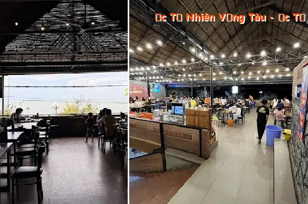 Vung Tau Natural Snails - Natural Snails 3