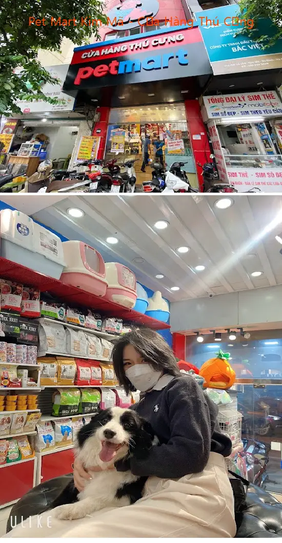 Pet Mart Kim Mã - Pet Store