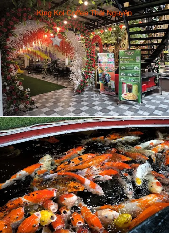 King Koi Coffee Thai Nguyen