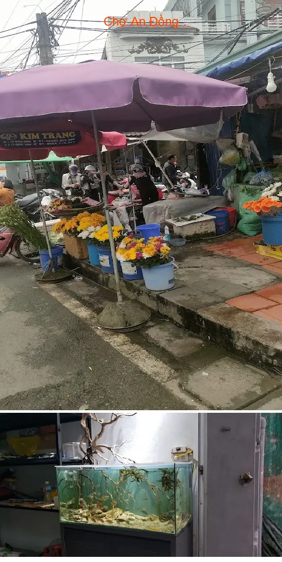 An Dong Market