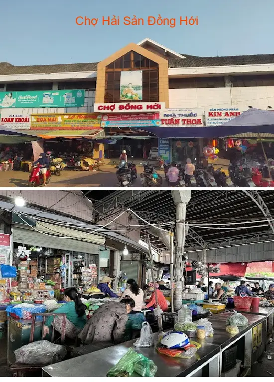 Dong Hoi Seafood Market