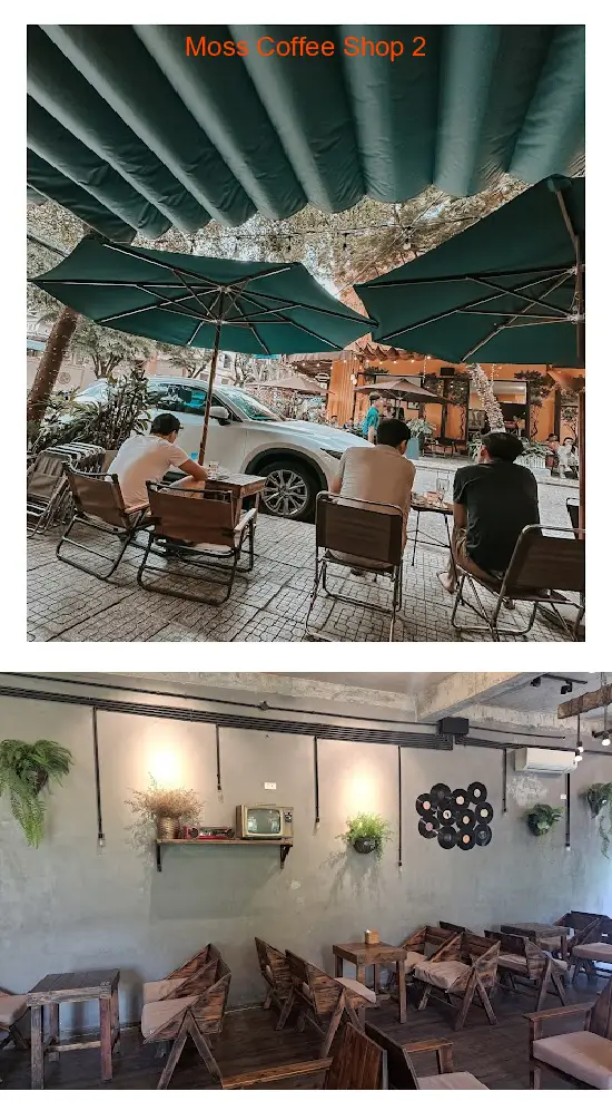 Moss Coffee Shop 2