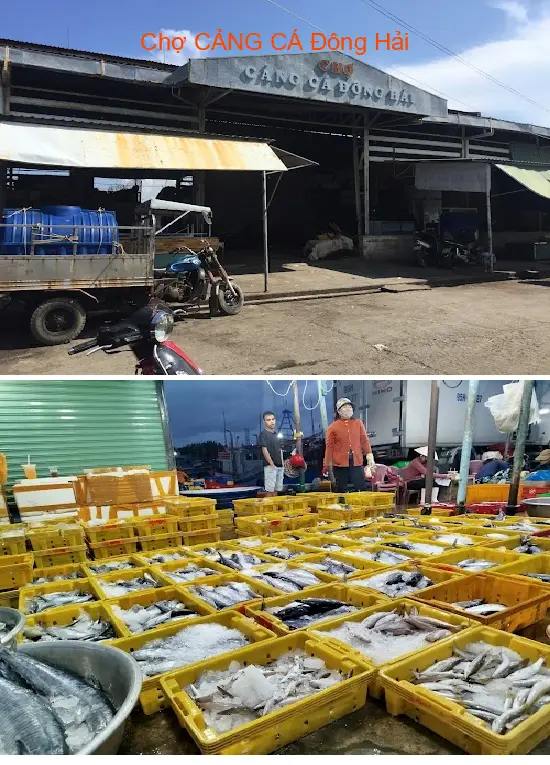 Dong Hai Fishing Port Market