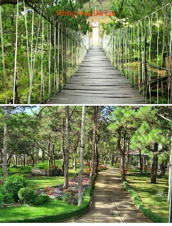 Dalat Flower Forest