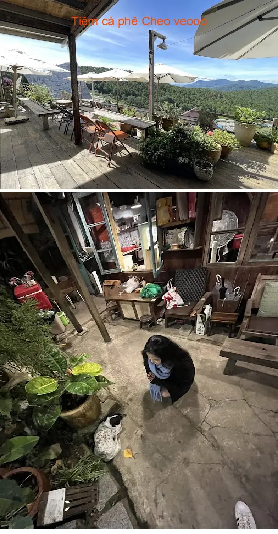 Cheo veooo coffee shop