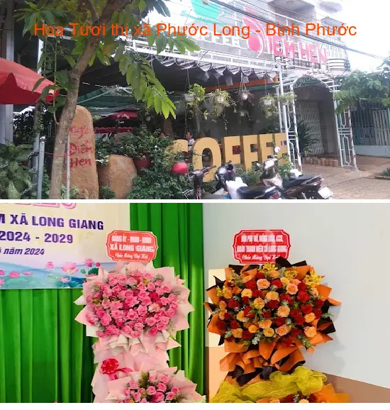 Fresh Flowers in Phuoc Long Town, Binh Phuoc Province