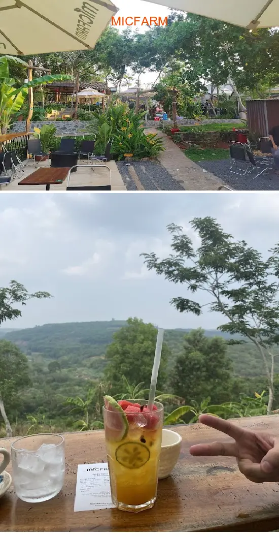 MICFARM