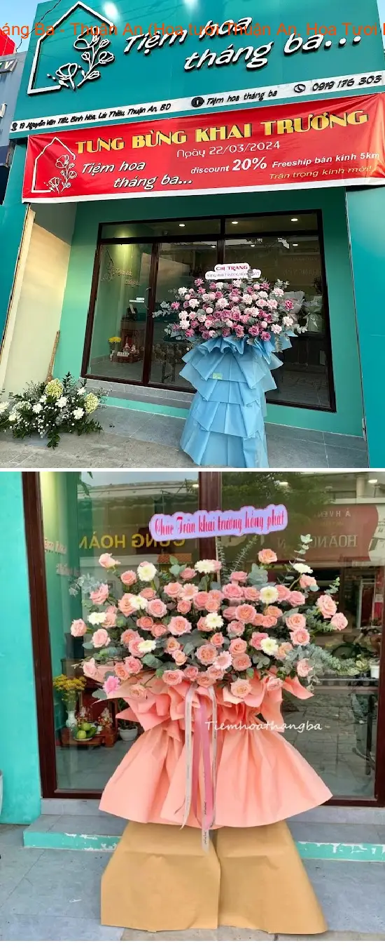 March Flower Shop - Thuan An (Fresh Flowers in Thuan An, Fresh Flowers in Binh Duong)