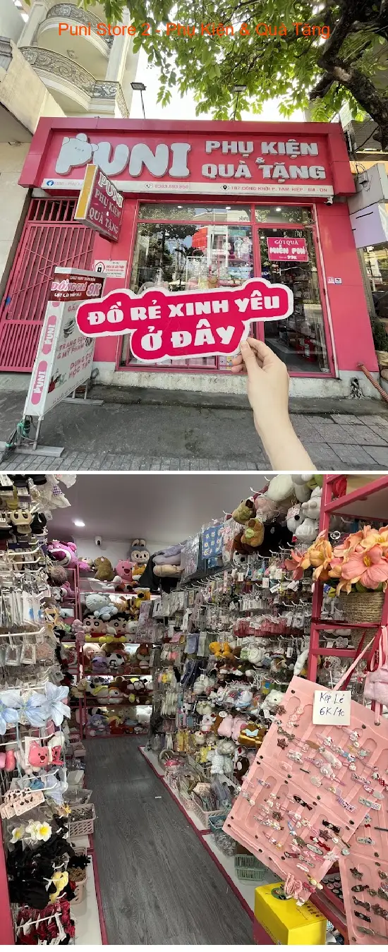 Puni Store 2 - Accessories & Gifts