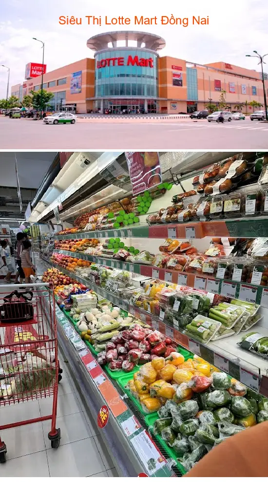 Lotte Mart Supermarket Dong Nai