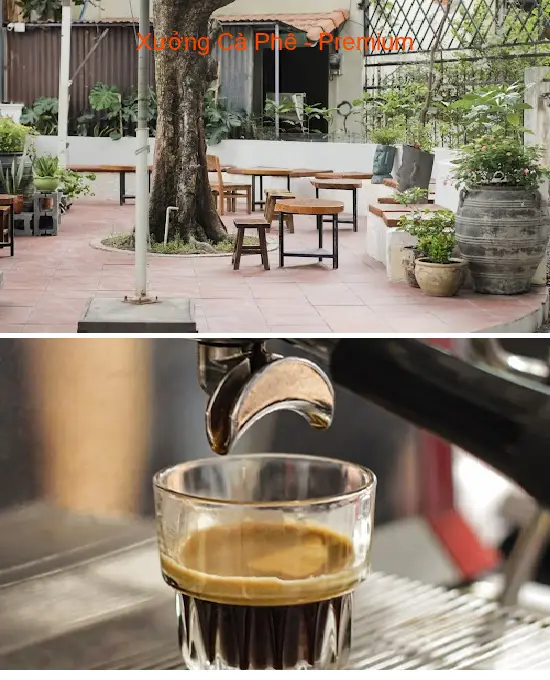 Coffee Factory - Premium