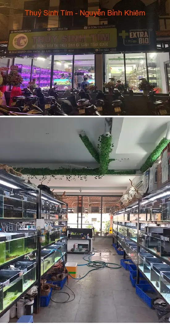 Purple Aquatic Plants - Nguyen Binh Khiem