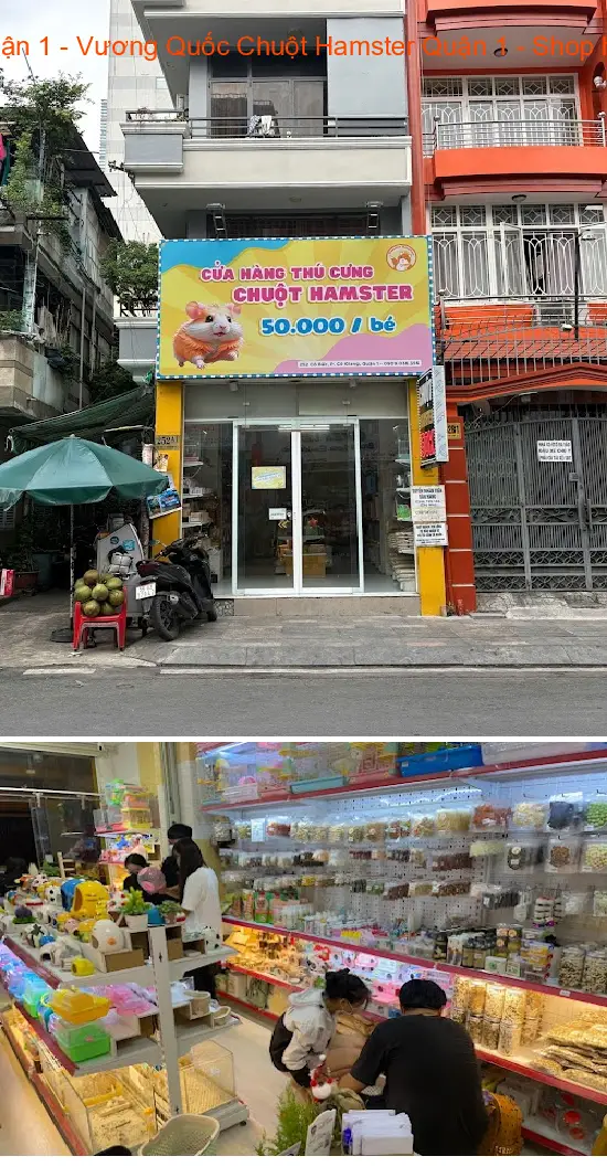 Hamster Kingdom District 1 - Hamster Kingdom District 1 - Affordable Hamster Shop District 1