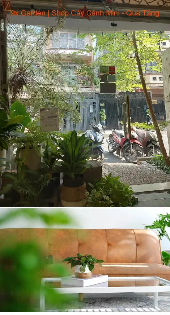 9x Garden | Miniature Plant Shop - Gifts