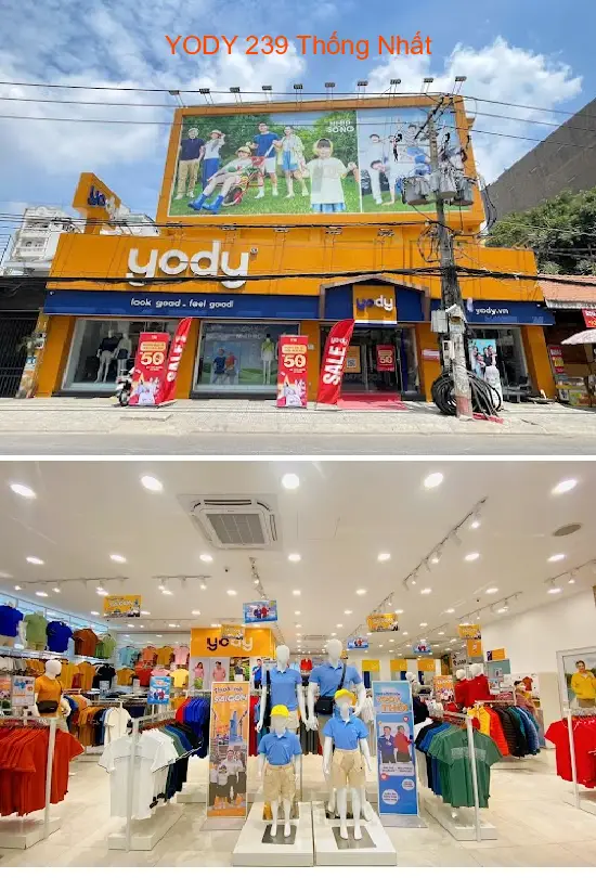 YODY 239 Thong Nhat