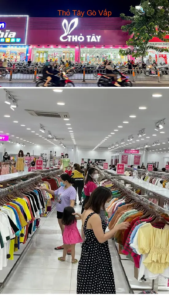 Western Rabbit of Go Vap