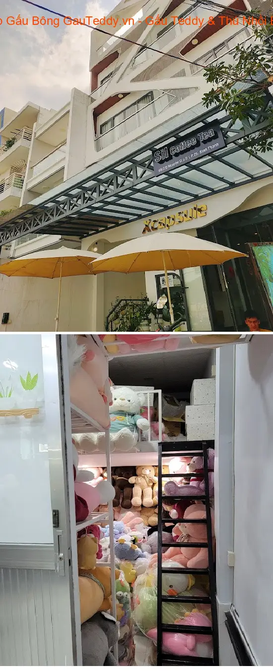 GauTeddy.vn Plush Toy Shop - Teddy Bears & Stuffed Animals