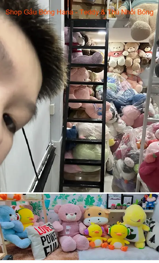 Hana Teddy Bear Shop - Teddy & Stuffed Animals