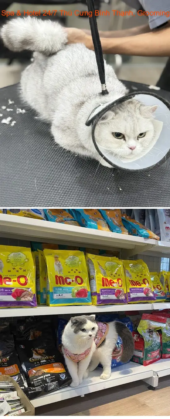 Lumi Pet Shop – 24/7 Pet Spa & Hotel in Binh Thanh District, Grooming & Bathing for Dogs and Cats