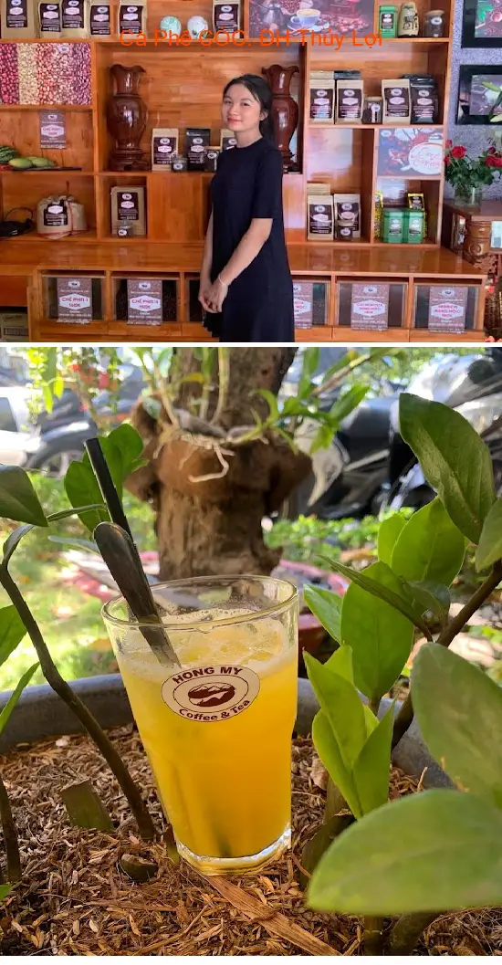 Froggy Coffee Shop. Water Resources University