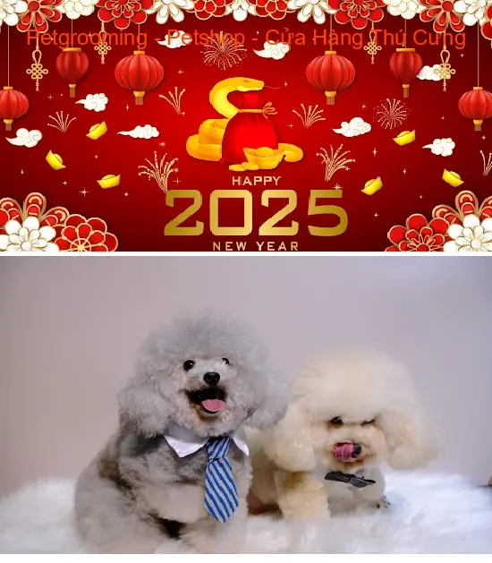 Petgrooming - Petshop - Pet Store