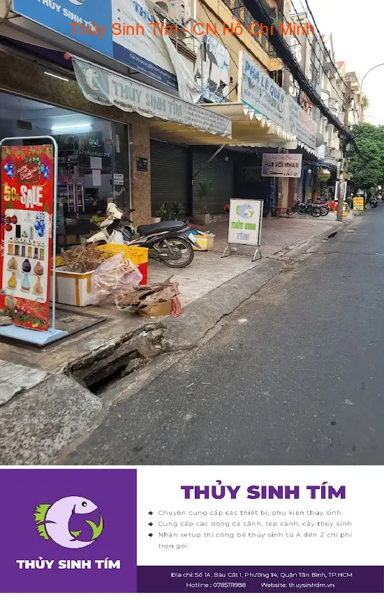 Purple Aquatic Plants - Ho Chi Minh City Branch