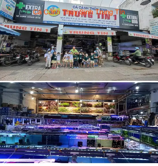 Trung Tin Aquarium and Aquatic Plants