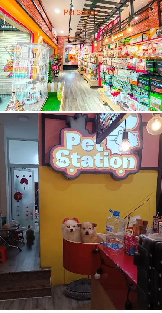 Pet Station